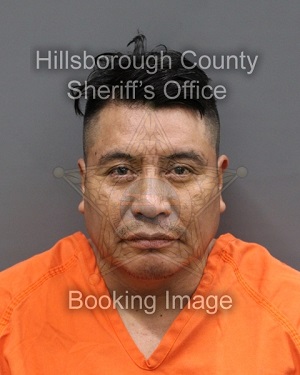 JAIME GERARD COYOTE SIR  Info, Photos, Data, and More About JAIME GERARD COYOTE SIR  / JAIME GERARD COYOTE SIR  Tampa Area