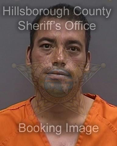 JOSE ALBERTO PEREZ SALDIVAR  Info, Photos, Data, and More About JOSE ALBERTO PEREZ SALDIVAR  / JOSE ALBERTO PEREZ SALDIVAR  Tampa Area