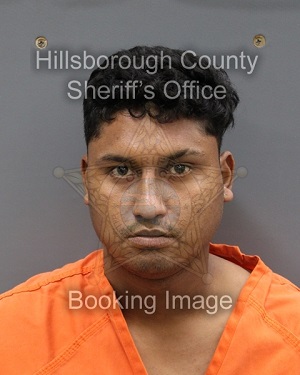 JOSE DANIEL PEREZ GRATEROL  Info, Photos, Data, and More About JOSE DANIEL PEREZ GRATEROL  / JOSE DANIEL PEREZ GRATEROL  Tampa Area