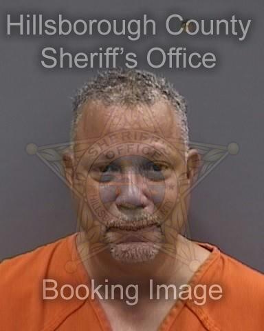 LING HAMILTON  Info, Photos, Data, and More About LING HAMILTON  / LING HAMILTON  Tampa Area