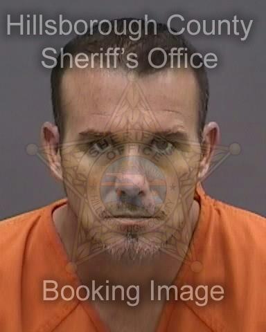 MICHAEL LADD SATTERFIELD  Info, Photos, Data, and More About MICHAEL LADD SATTERFIELD  / MICHAEL LADD SATTERFIELD  Tampa Area