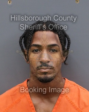 NOAH WILMORE  Info, Photos, Data, and More About NOAH WILMORE  / NOAH WILMORE  Tampa Area