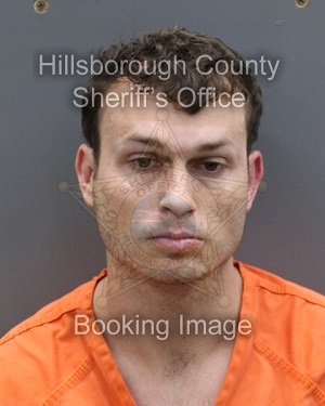 PAUL YOUNG  Info, Photos, Data, and More About PAUL YOUNG  / PAUL YOUNG  Tampa Area