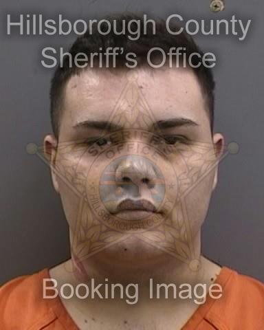 RHETT TYLER FERNANDEZ  Info, Photos, Data, and More About RHETT TYLER FERNANDEZ  / RHETT TYLER FERNANDEZ  Tampa Area