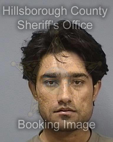 ROMAN FAROOGI  Info, Photos, Data, and More About ROMAN FAROOGI  / ROMAN FAROOGI  Tampa Area