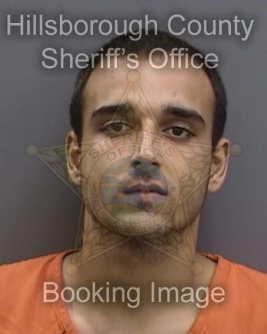 SEBASTIAN DAVID NAVARRO RICO  Info, Photos, Data, and More About SEBASTIAN DAVID NAVARRO RICO  / SEBASTIAN DAVID NAVARRO RICO  Tampa Area
