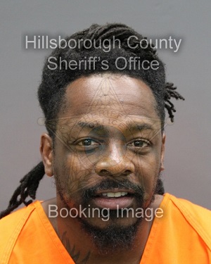 STEVE ELIE  Info, Photos, Data, and More About STEVE ELIE  / STEVE ELIE  Tampa Area