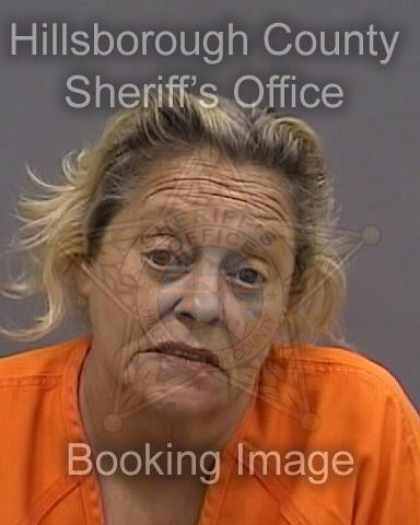 TAMMY PATRICIA DITORO  Info, Photos, Data, and More About TAMMY PATRICIA DITORO  / TAMMY PATRICIA DITORO  Tampa Area