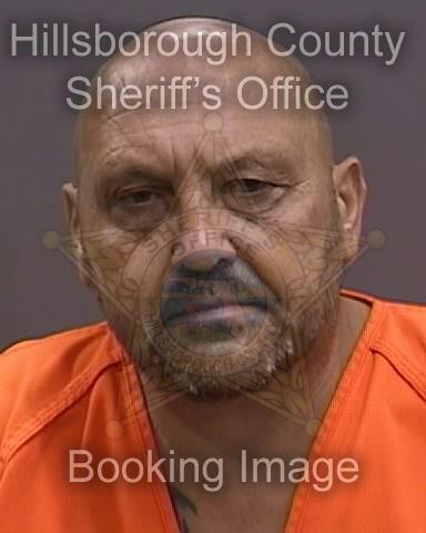 TOMASZ ZARANSKI  Info, Photos, Data, and More About TOMASZ ZARANSKI  / TOMASZ ZARANSKI  Tampa Area