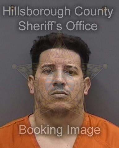 YASSER NADIR LOPEZ ANGEL  Info, Photos, Data, and More About YASSER NADIR LOPEZ ANGEL  / YASSER NADIR LOPEZ ANGEL  Tampa Area