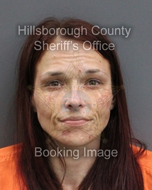 AMY ROSE LASTUVKA  Info, Photos, Data, and More About AMY ROSE LASTUVKA  / AMY ROSE LASTUVKA  Tampa Area