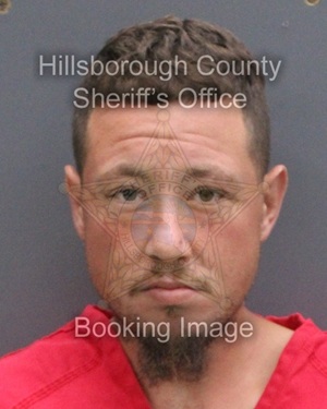 AUSTIN REGINALD PELKEY  Info, Photos, Data, and More About AUSTIN REGINALD PELKEY  / AUSTIN REGINALD PELKEY  Tampa Area