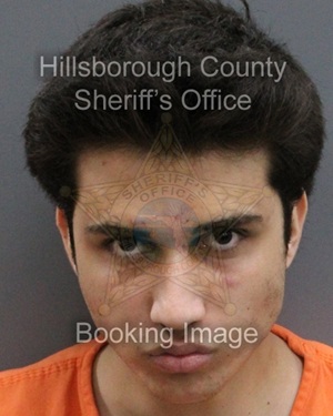 DARA KAYA  Info, Photos, Data, and More About DARA KAYA  / DARA KAYA  Tampa Area