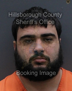 DOMINIC HAMILTON FEIJOO  Info, Photos, Data, and More About DOMINIC HAMILTON FEIJOO  / DOMINIC HAMILTON FEIJOO  Tampa Area