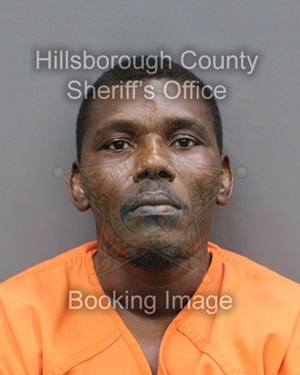 GUERINO PIERRE LOUIS  Info, Photos, Data, and More About GUERINO PIERRE LOUIS  / GUERINO PIERRE LOUIS  Tampa Area