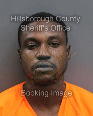 ROHAN MARK MORGAN  Info, Photos, Data, and More About ROHAN MARK MORGAN  / ROHAN MARK MORGAN  Tampa Area