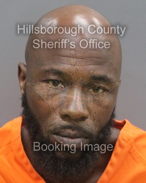 SHEPHARD WAYNE GROVER  Info, Photos, Data, and More About SHEPHARD WAYNE GROVER  / SHEPHARD WAYNE GROVER  Tampa Area