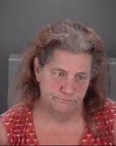 Nanci Hasey Info, Photos, Data, and More About Nanci Hasey / Nanci Hasey Tampa Area
