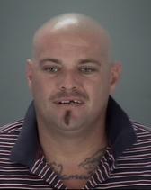 David Holbert Info, Photos, Data, and More About David Holbert / David Holbert Tampa Area