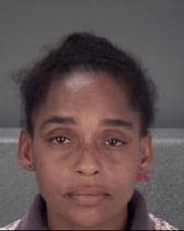 Toniann Nelson Info, Photos, Data, and More About Toniann Nelson / Toniann Nelson Tampa Area