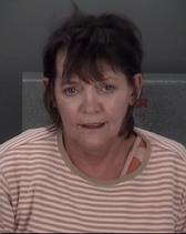 Cynthia Fantoli Info, Photos, Data, and More About Cynthia Fantoli / Cynthia Fantoli Tampa Area