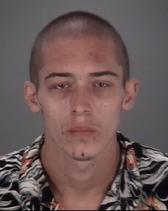 Tyler Dewalt Info, Photos, Data, and More About Tyler Dewalt / Tyler Dewalt Tampa Area