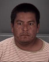 Juan Gutierrez Info, Photos, Data, and More About Juan Gutierrez / Juan Gutierrez Tampa Area