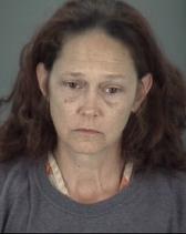 Donna Karakaris Info, Photos, Data, and More About Donna Karakaris / Donna Karakaris Tampa Area