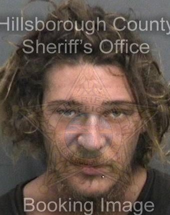 Austin Shad Pine Info, Photos, Data, and More About Austin Shad Pine / Austin Shad Pine Tampa Area