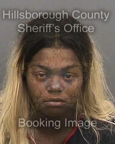 BRITTANY PAULETTE GRAY  Info, Photos, Data, and More About BRITTANY PAULETTE GRAY  / BRITTANY PAULETTE GRAY  Tampa Area