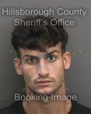 DANYER ORTEGA ZURITA  Info, Photos, Data, and More About DANYER ORTEGA ZURITA  / DANYER ORTEGA ZURITA  Tampa Area