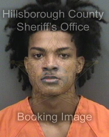 DAVID ALEXANDER MORALES ROSARIO  Info, Photos, Data, and More About DAVID ALEXANDER MORALES ROSARIO  / DAVID ALEXANDER MORALES ROSARIO  Tampa Area