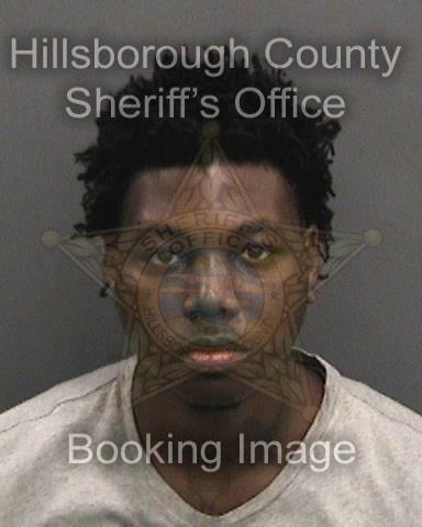 NATHAN EDWARD MCGRIFF  Info, Photos, Data, and More About NATHAN EDWARD MCGRIFF  / NATHAN EDWARD MCGRIFF  Tampa Area