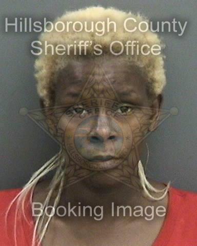 SHEKEIA NICOLE RIGGINS  Info, Photos, Data, and More About SHEKEIA NICOLE RIGGINS  / SHEKEIA NICOLE RIGGINS  Tampa Area