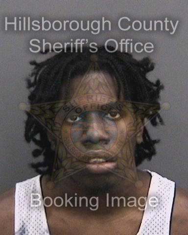 TASHAWN TIQUAN DAVID  Info, Photos, Data, and More About TASHAWN TIQUAN DAVID  / TASHAWN TIQUAN DAVID  Tampa Area