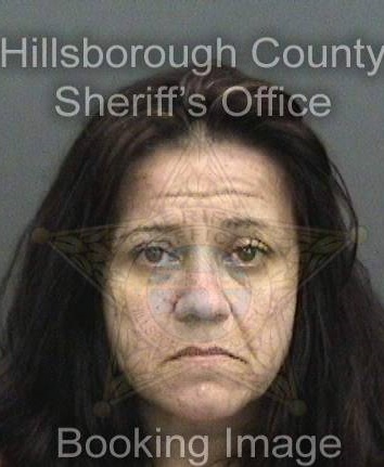 Tina Louise Hess Info, Photos, Data, and More About Tina Louise Hess / Tina Louise Hess Tampa Area